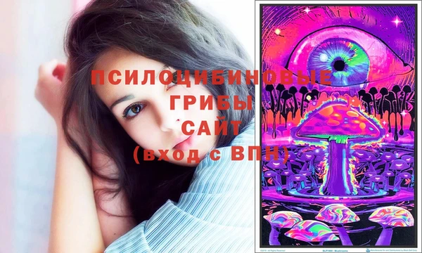 скорость Аркадак