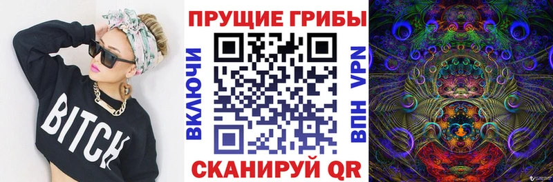 Псилоцибиновые грибы Psilocybe  дарнет шоп  Шатура 